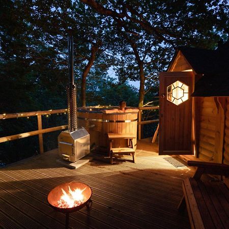 Chestnut Tree House With Hot Tub & Sauna Barmouth Exterior foto