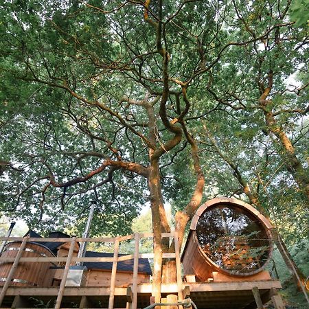 Chestnut Tree House With Hot Tub & Sauna Barmouth Exterior foto